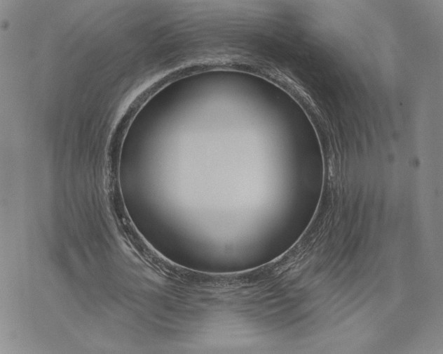 X0000075340724200609251011