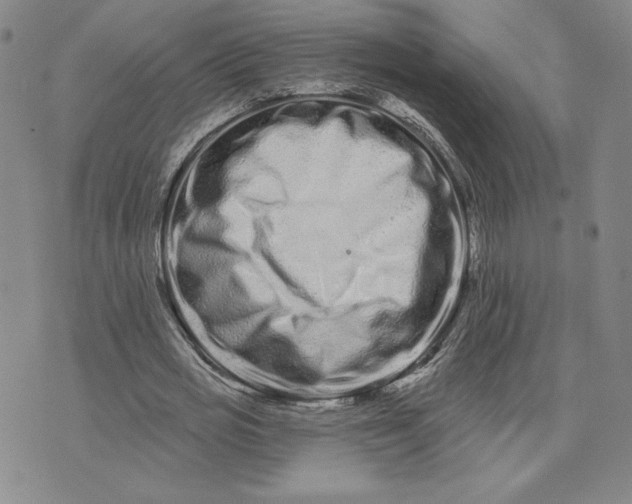 X0000075340725200609251011