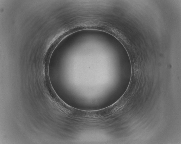 X0000075340727200609251011