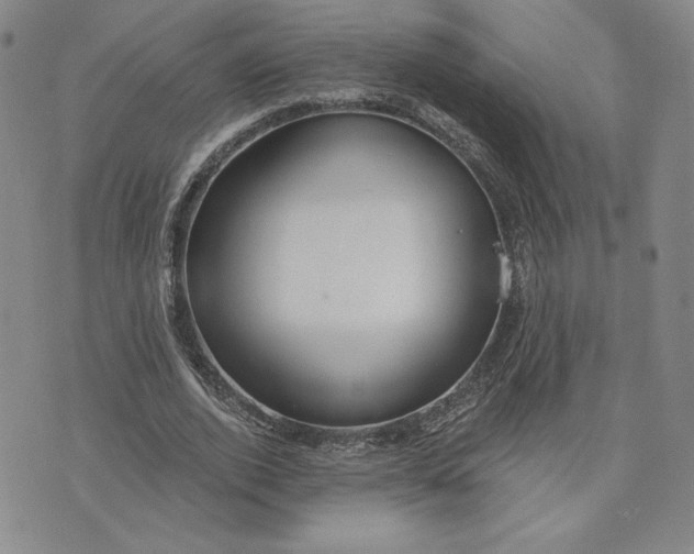X0000075340728200609251011