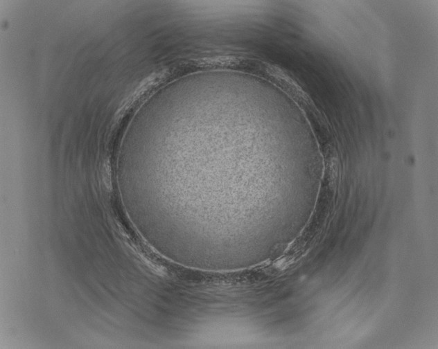 X0000075340729200609251011