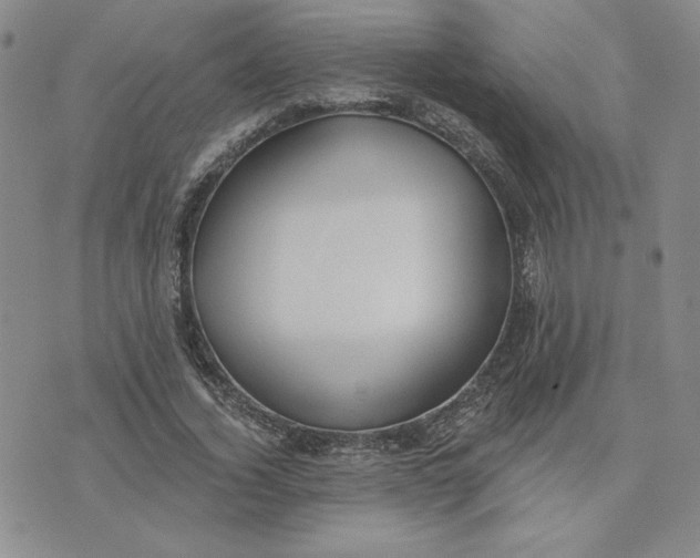 X0000075340732200609251011