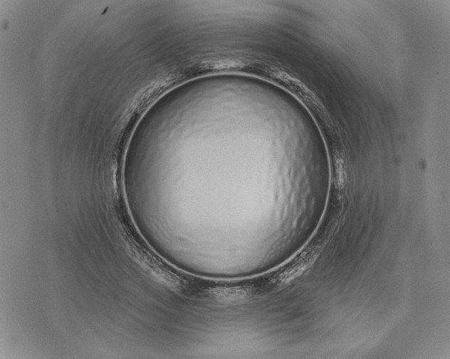 X0000075340733200609251011