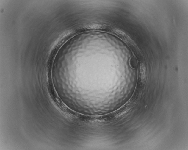 X0000075340734200609251011