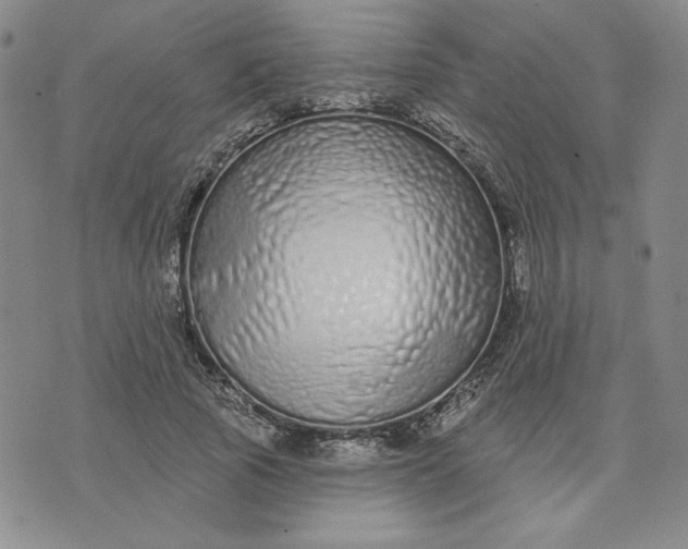 X0000075340737200609251011