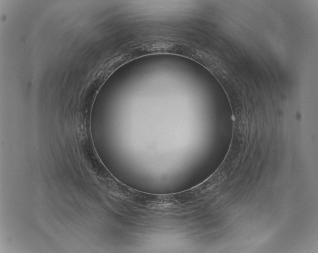 X0000075340743200609251011