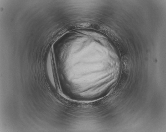 X0000075340745200609251011