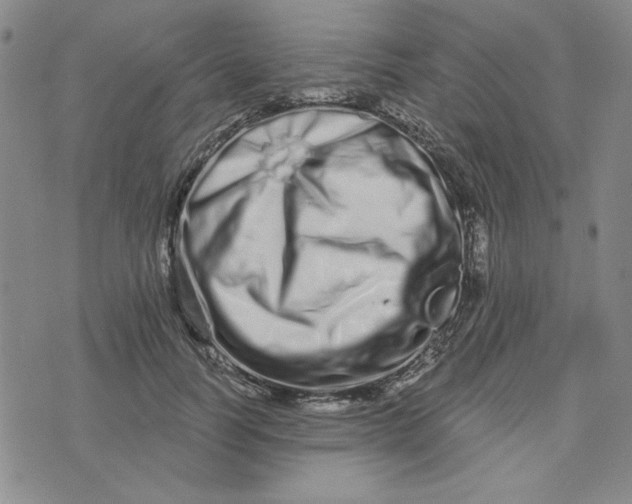 X0000075340746200609251011
