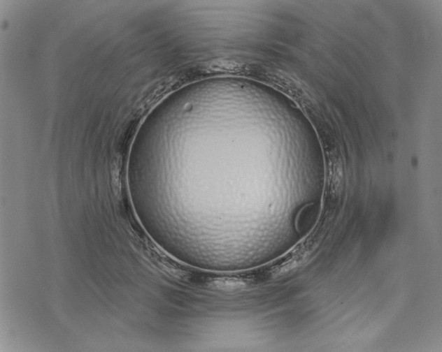 X0000075340749200609251011