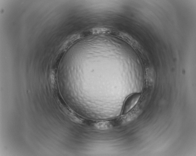 X0000075340761200609251011