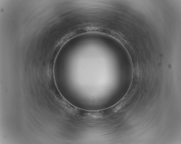 X0000075340763200609251012