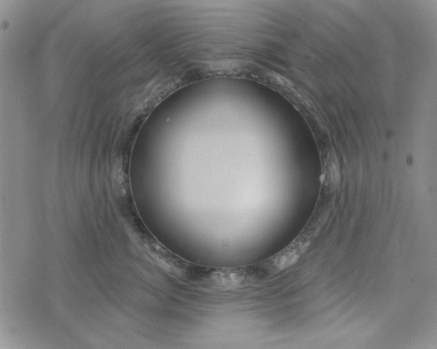 X0000075340764200609251012