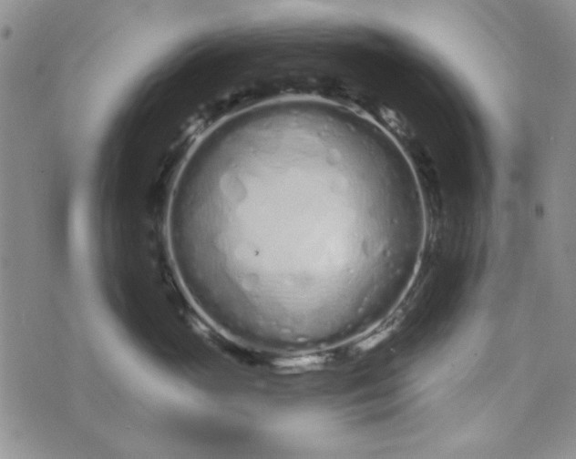 X0000075340765200609251012