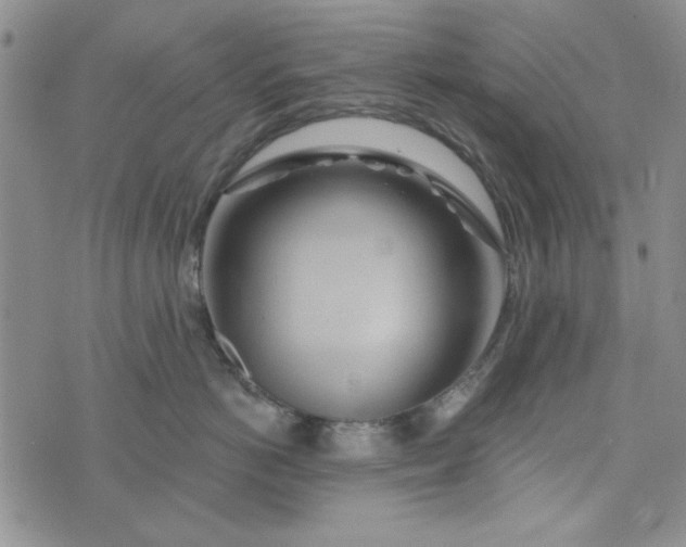 X0000075340766200609251012