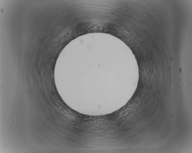 X0000075340769200609251011