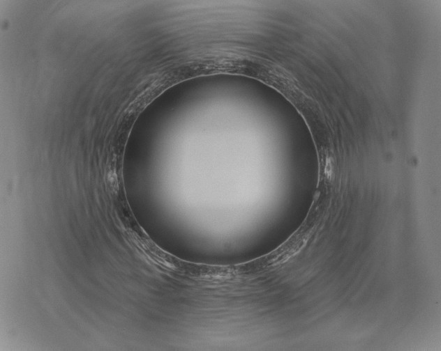 X0000075340771200609251011