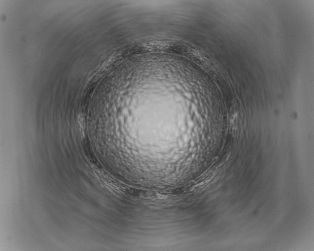 X0000075340772200609251011