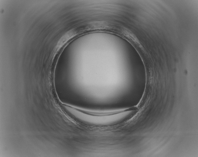 X0000075340786200609251011