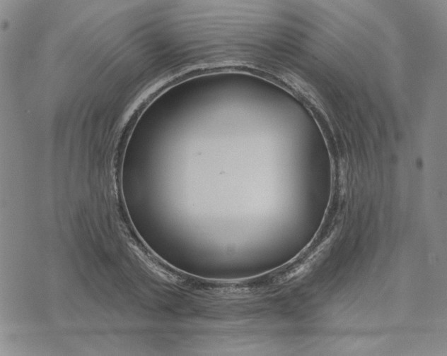X0000075340789200609251010