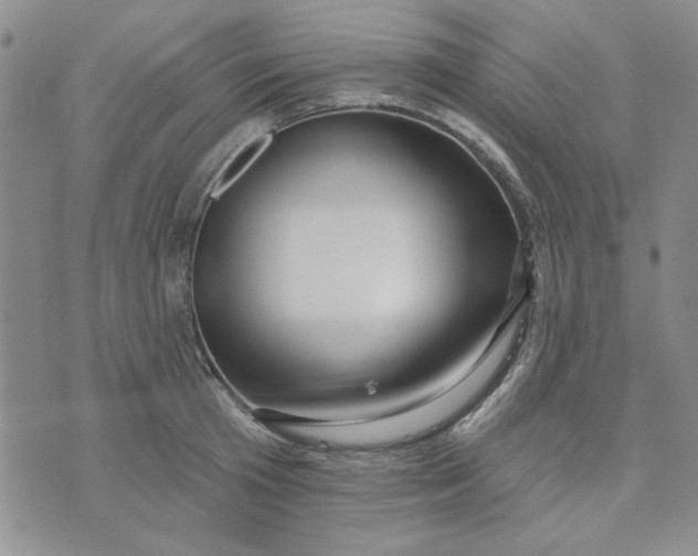 X0000075340801200609251010