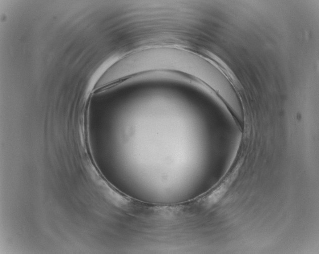 X0000075340812200609251010