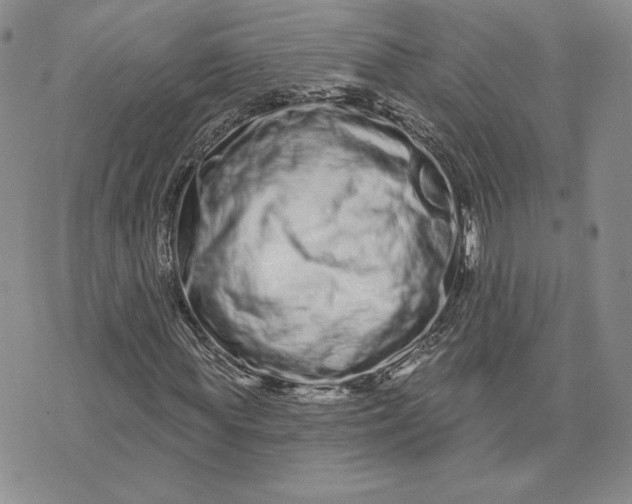 X0000075340819200609251009