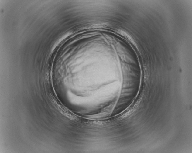 X0000075340827200609251009