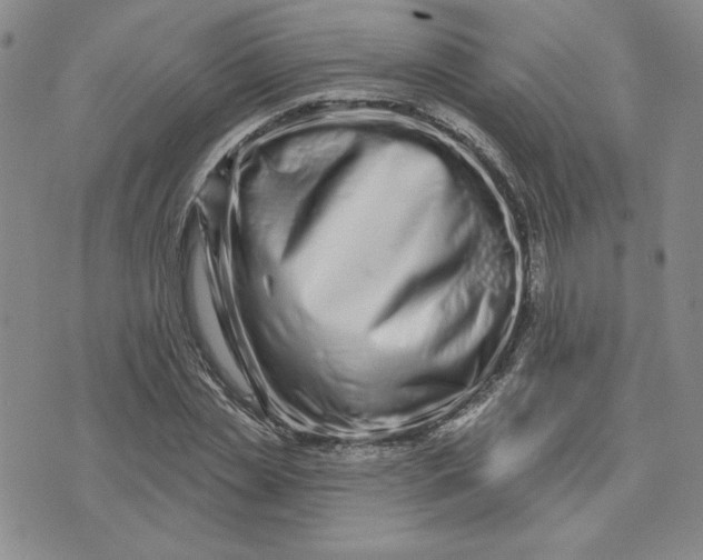 X0000075340829200609251009