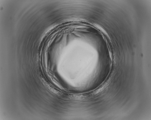X0000075340831200609251010