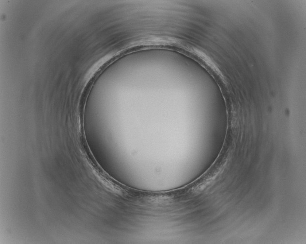 X0000075340837200609251010