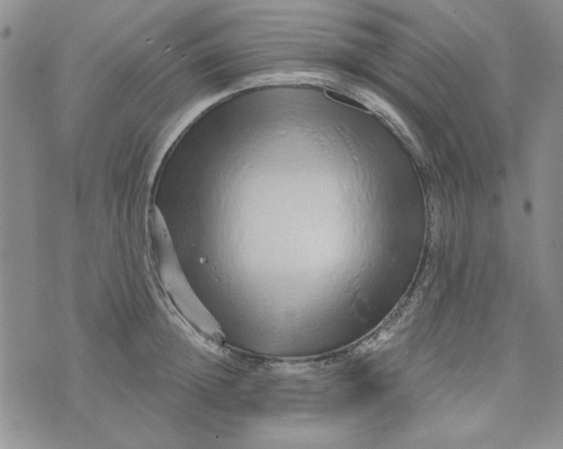 X0000075340852200609251010