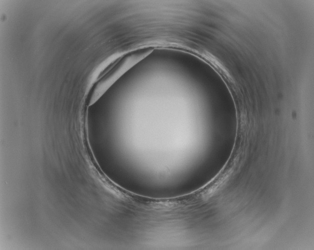 X0000075340854200609251010