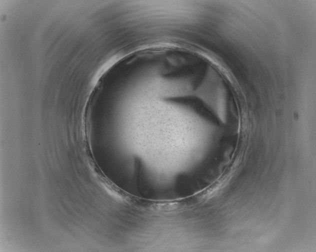X0000075340858200609251010