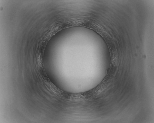 X0000075340866200609251009