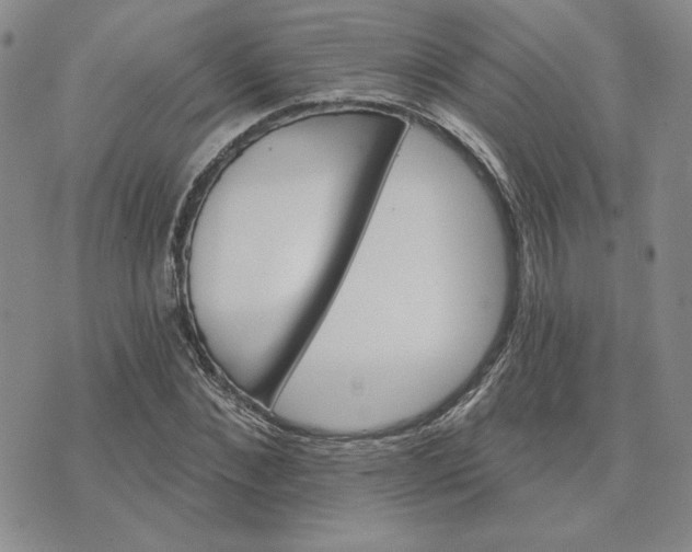 X0000075340876200609251009
