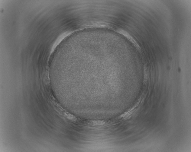 X0000075340878200609251009