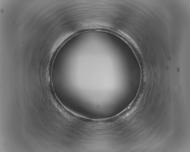 X0000075340885200609251009