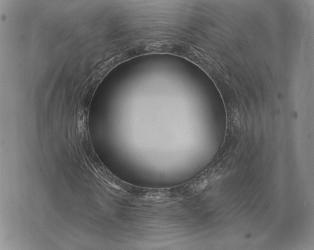 X0000075340914200609251008
