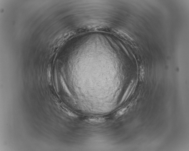 X0000075340917200609251008