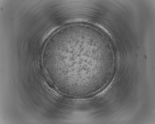 X0000075340921200609251008