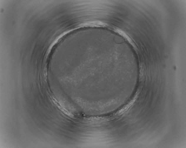 X0000075340923200609251008
