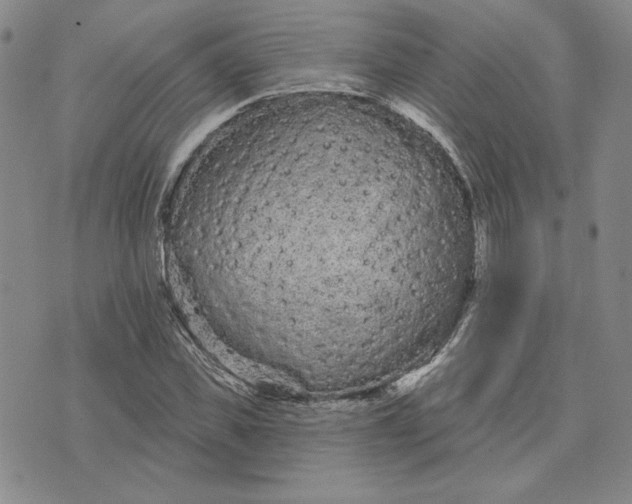 X0000075340925200609251008