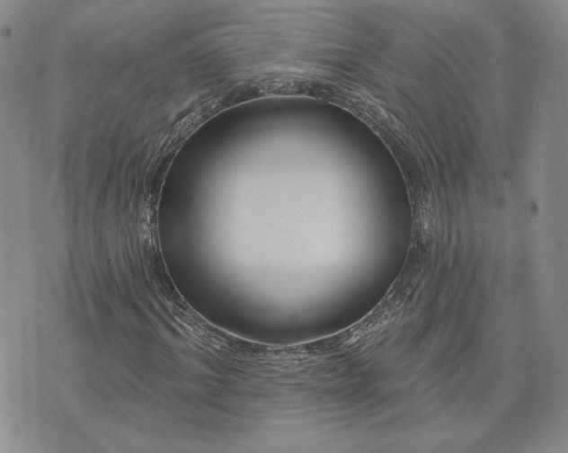 X0000075340964200609251008