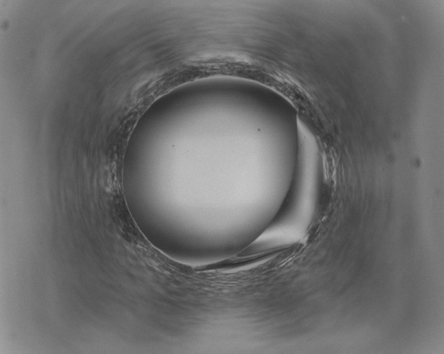 X0000075340965200609251008