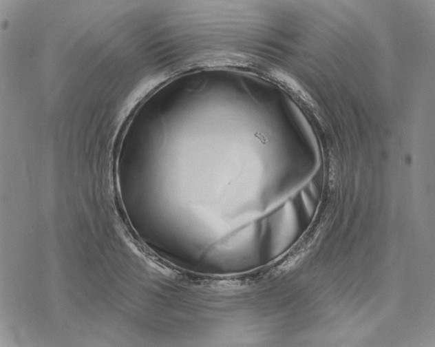 X0000075340986200609251007