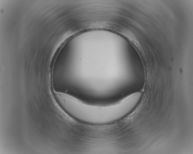 X0000075340992200609251007