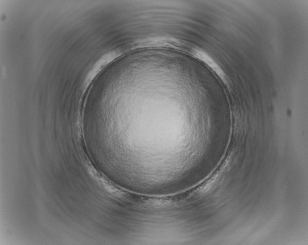 X0000075340994200609251007