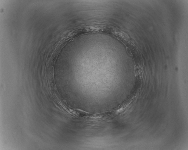 X0000075341009200609251006