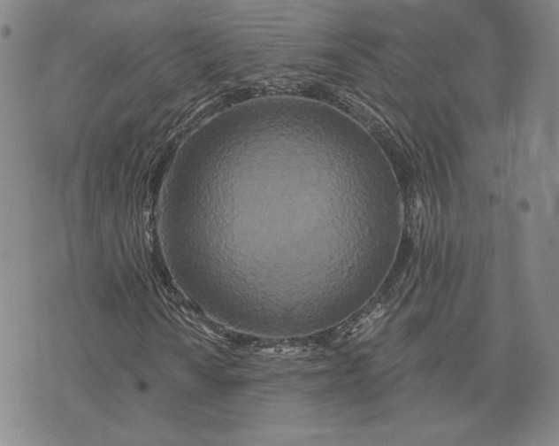 X0000075341010200609251006