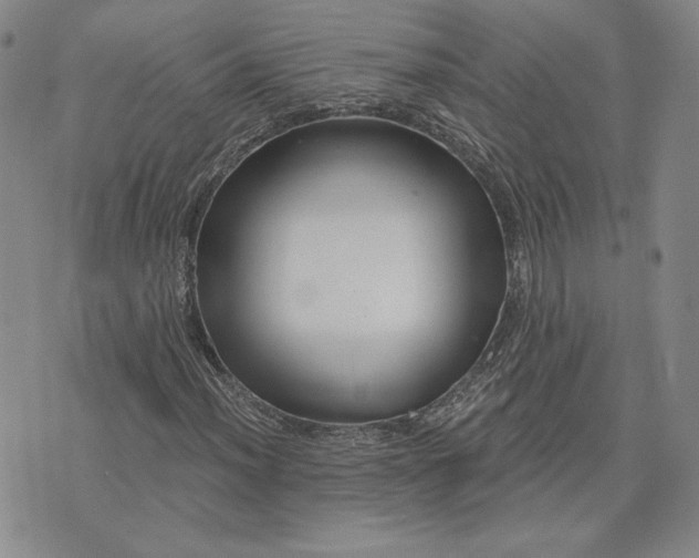 X0000075341012200609251006